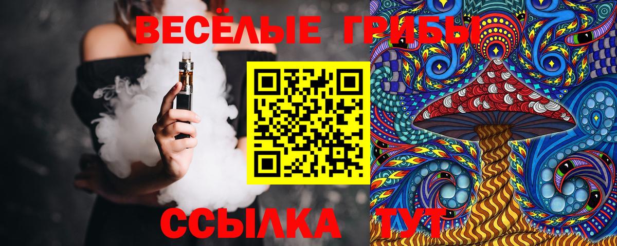 Псилоцибиновые грибы Psilocybine cubensis Сланцы
