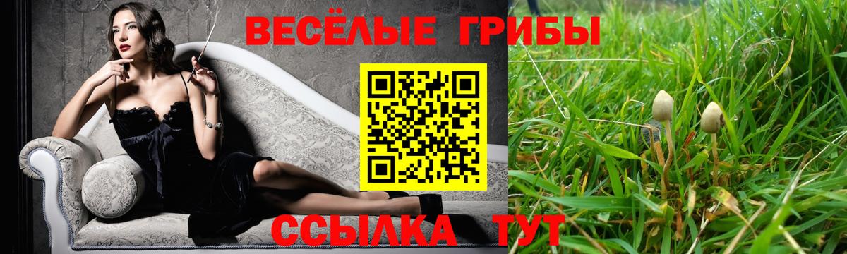 Псилоцибиновые грибы Magic Shrooms  Вход с VPN  Галлюциногенные грибы мухоморы  Сланцы 
